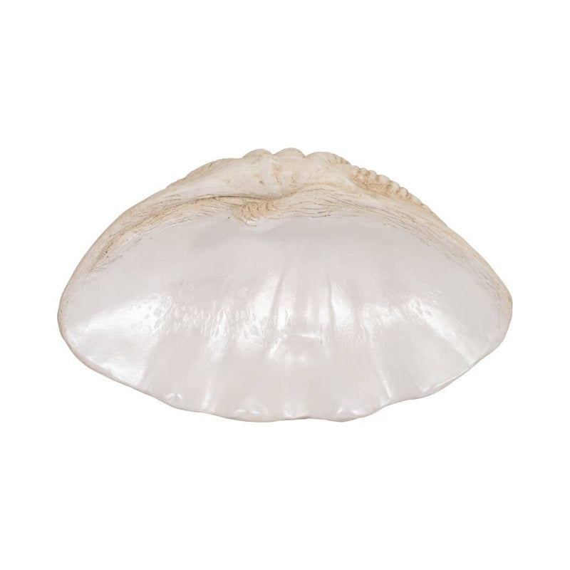 Polyresin Coastal Novelty Shell Bowl - Ivory, 16 in. Sagebrook Home