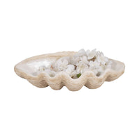 Polyresin Coastal Novelty Shell Bowl - Ivory, 16 in. Sagebrook Home