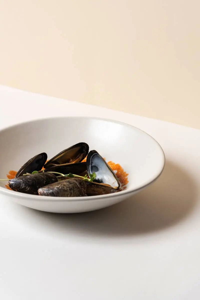 Stoneware Pasta Plate | Dadasi 9.4": Matte Black GHARYAN Stoneware & More