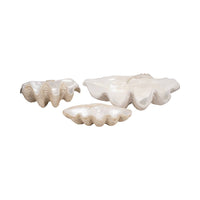 Polyresin Coastal Novelty Shell Bowl - Ivory, 16 in. Sagebrook Home