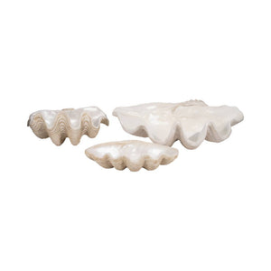 Polyresin Coastal Novelty Shell Bowl - Ivory, 16 in. Sagebrook Home