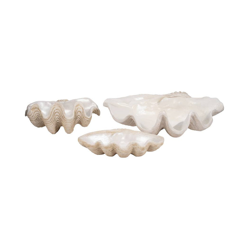 Polyresin Coastal Novelty Shell Bowl - Ivory, 16 in. Sagebrook Home