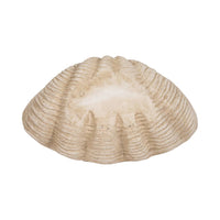 Polyresin Coastal Novelty Shell Bowl - Ivory, 16 in. Sagebrook Home