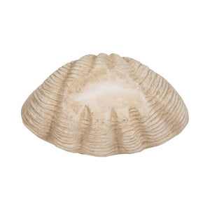 Polyresin Coastal Novelty Shell Bowl - Ivory, 16 in. Sagebrook Home