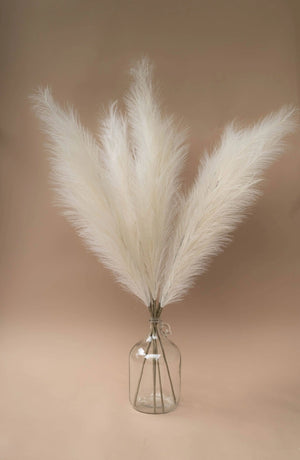 Artificial/Faux Pampas Grass - 3 pack Home Decor By Two FIelds