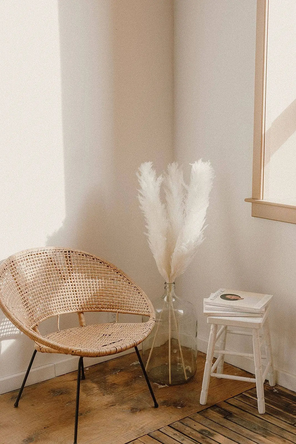 Fluffy Bleached White Pampas Grass By Two FIelds